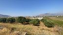 terreno-a-alcamo