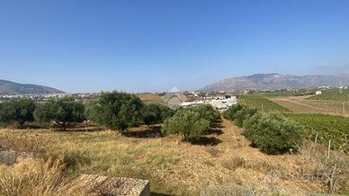 TERRENO A ALCAMO