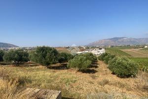 TERRENO A ALCAMO