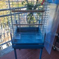 gabbia per pappagalli di media taglia