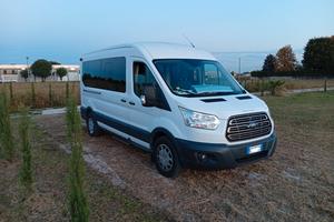 Pulmino Transit Tours 2.0 TDCi anno 2017