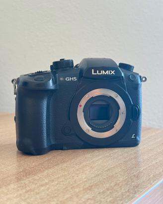 Lumix GH5 con V-Log, scatola e 3 batterie