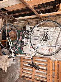 Bici Legnao
