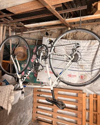 Bici Legnao