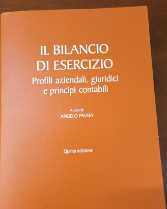 manuale Ragioneria Il bilancio di esercizio Palma