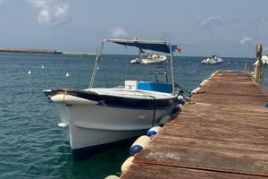 Gozzo Aprea Sorrentino 8.5 mt 40CV nanni