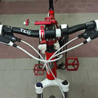 Bicicletta Mountain bike