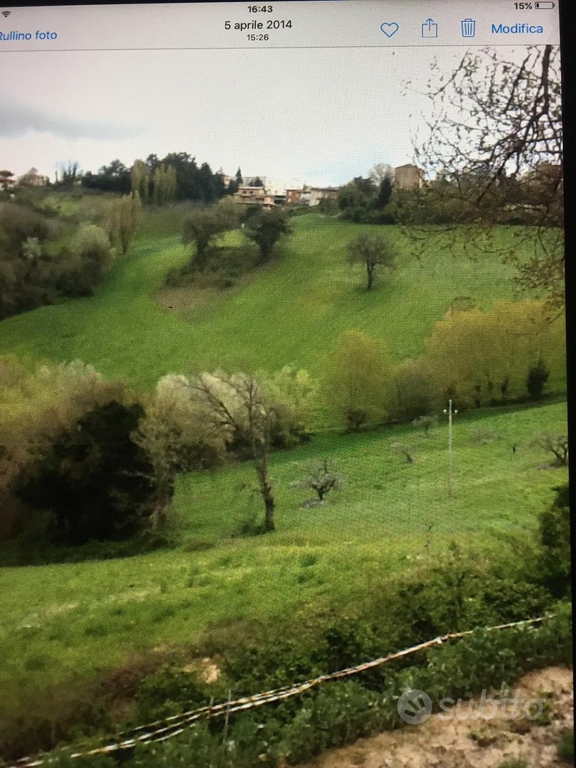 Terreno Agricolo - Vista 5