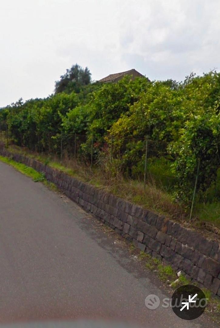 Terreno con agrumeto e casale rurale -Pozzillo Sup - Altro