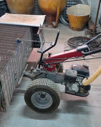 setaccio e scopatrice per olive a scoppio