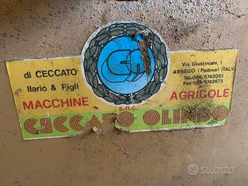 Molino