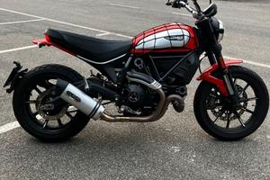 DUCATI SCRAMBLER ICON 800