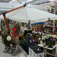 Ombrellone 3x4 in Legno o Alluminio 