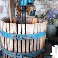 Torchio elettronico, pigiatrice elettrica