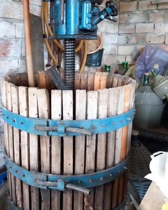 Torchio elettronico, pigiatrice elettrica