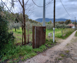 Terreno Agricolo 10000mq Fondi Mare Con 250 ulivi