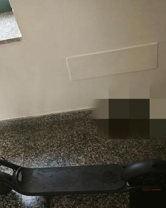 Monopattino elettrico