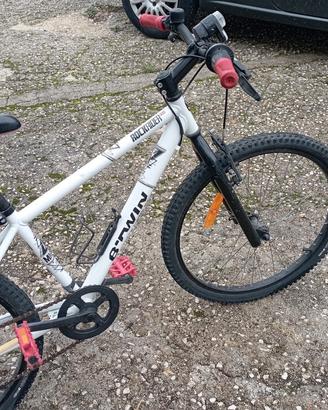bicicletta