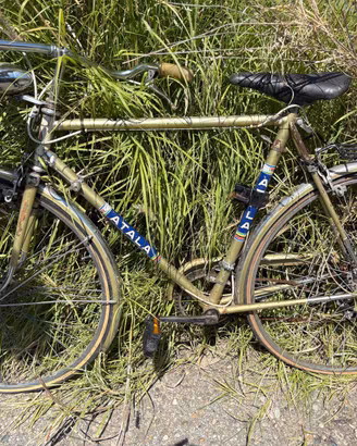 Bici atala