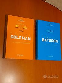 La psicologia dell'intelligenza emotiva e L'import