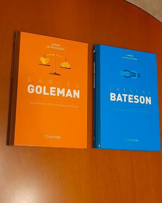 La psicologia dell'intelligenza emotiva e L'import