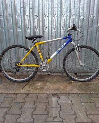 Mountain bike