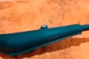 Marmitta Sito Proma per Piaggio 