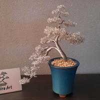 BONSAI IN RAME PURO STAGNATO,IN VERO VASO BONSAI