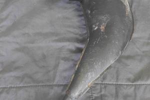 marmitta Honda CR vintage 