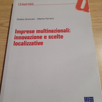 Imprese multinazionali: innovazione e scelte