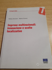 Imprese multinazionali: innovazione e scelte