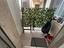 Immagine 11