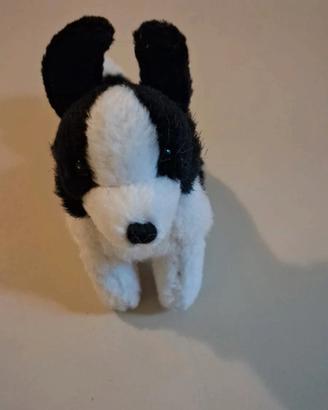 Trudi Border Collie