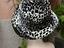Immagine 5