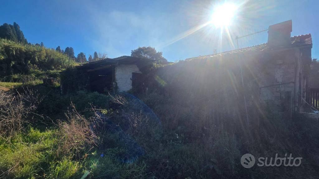 Rustico / Casale di 270 m² con più di 5 locali e b - Vista 6