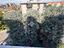 Immagine 24