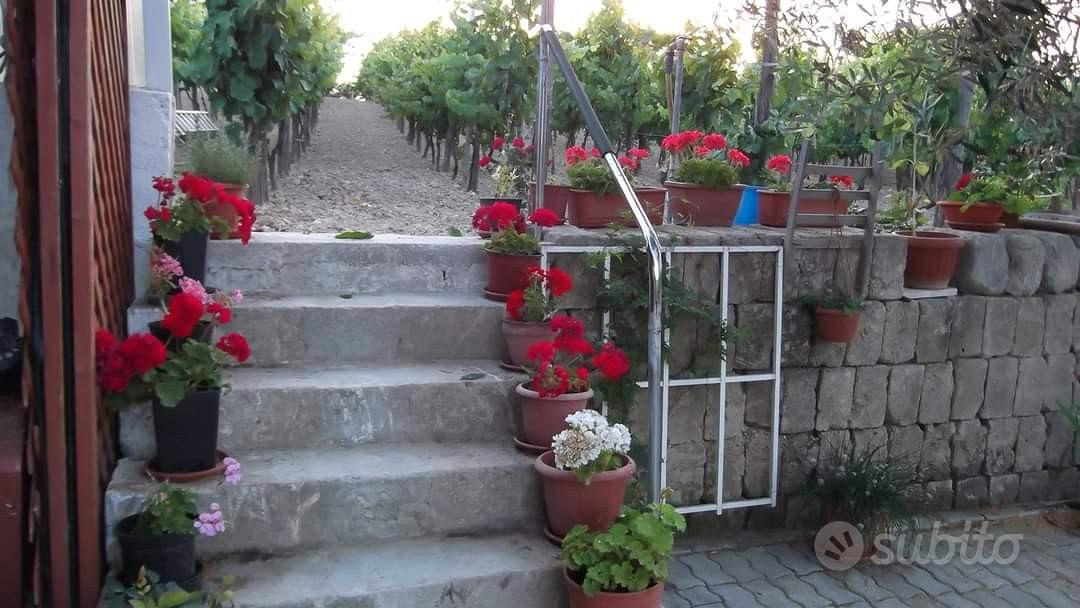 Terreno agricolo - Vista 3