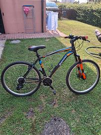  bicicletta  ragazzo/adulto