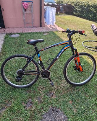  bicicletta  ragazzo/adulto