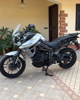 TRIUMPH TIGER 800 XRx - Tris Valigie - 2017