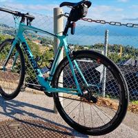 Bianchi Intenso 2017, taglia L, 2x11v
