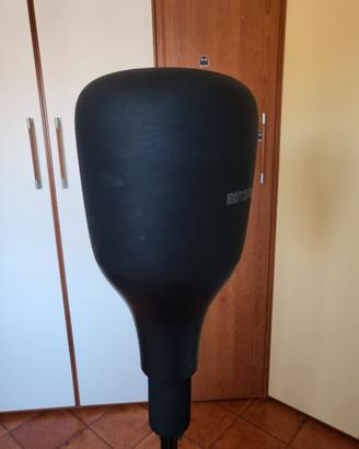 pungiball