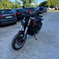 Benelli Leoncino 500 TRAIL