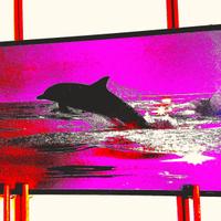 Quadro 76x44 Delfino Talbot originale