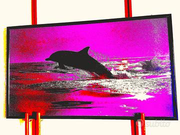 Quadro 76x44 Delfino Talbot originale