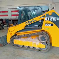 Minipala Cingolata GEHL RT210