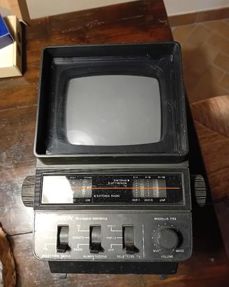 televisione portatile 