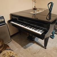 Pianoforte a coda