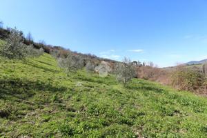 TER. AGRICOLO A POGGIO NATIVO