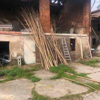 CANNE DI BAMBU